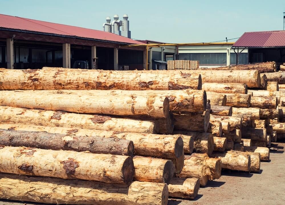 maszyny-stolarskie-1-Obrobka-drewna-a-przepisy-BHP-o-czym-nalezy-pamietac