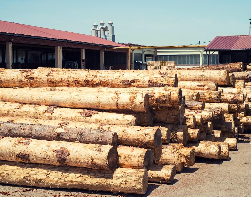 Obróbka drewna a przepisy BHP - o czym należy pamiętać? 