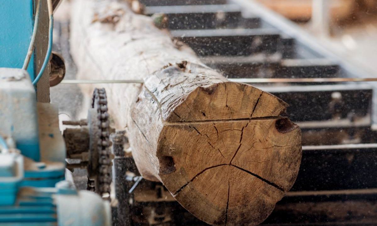 profesjonalny serwis maszyn Wood Solution